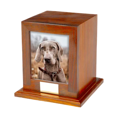 Bootle — Urnes animaux