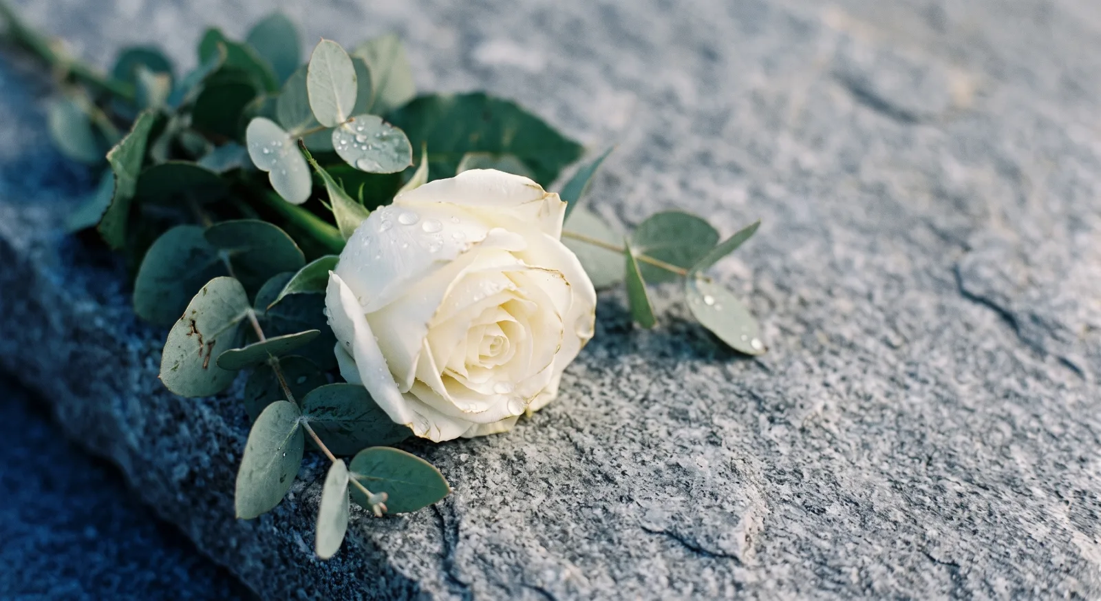 Fleurs de deuil déposées en signe de recueillement