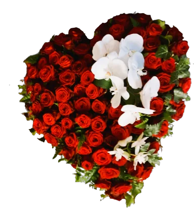 Cœur rouge de roses et orchidées