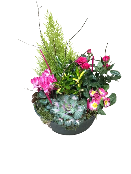 Coupe de plantes